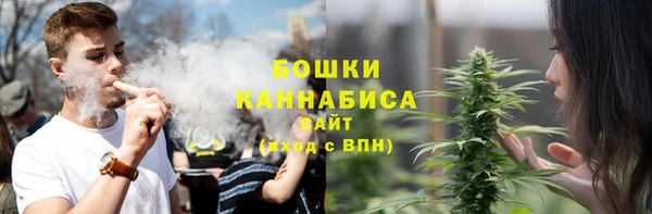 мдпв Козловка